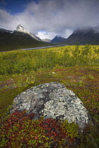 View along Rapadalen valley in autumn, Bielloriehppe mountain in the distance, Sarek National Park, Laponia World Heritage Site, Lapland, Sweden, September 2008