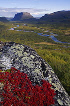 View along Rapadalen valley towards Tjahkkelij from Lulep Spadnek, with Nammatj mountain, Sarek National Park, Laponia World Heritage Site, Lapland, Sweden, September 2008 WWE BOOK.