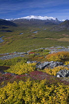 View along Rapadalen valley from Nammatj towards Lulep Spadnek mountain, Sarek National Park, Laponia World Heritage Site, Lapland, Sweden, September 2008