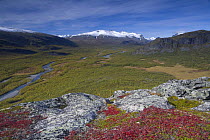 View along Rapadalen valley from Nammatj towards Lulep Spadnek, Sarek National Park, Laponia World Heritage Site, Lapland, Sweden, September 2008