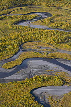 Aerial view of the Laitaure delta, Sarek National Park, Laponia World Heritage Site, Lapland, Sweden, September 2008