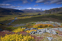View along Rapadalen valley from Nammatj towards Lulep Spadnek, Sarek National Park, Laponia World Heritage Site, Lapland, Sweden, September 2008