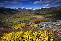 View along Rapadalen valley from Nammatj towards Lulep Spadnek, Sarek National Park, Laponia World Heritage Site, Lapland, Sweden, September 2008 WWE OUTDOOR EXHIBITION