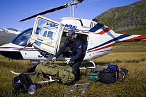 Helicopter pilot unloading equipment for WWE filming mission, Sarek National Park, Laponia World Heritage Site, Lapland, Sweden, September 2008