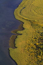 Aerial view of Laitaure delta, Sarek National Park, Laponia World Heritage Site, Lapland, Sweden, September 2008
