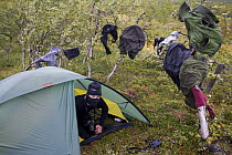 Cameraman, Rolf Steinmann, peering out of tent, with clothes hung out to dry, Sarek National Park, Laponia World Heritage Site, Lapland, Sweden, September 2008