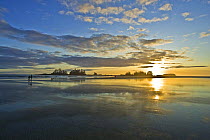 Chestermans Beach at dawn, with Frank Island in the distance, Clayoquot Sound, Vancouver Island, British Columbia, Canada