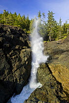 The Blowhole at Fletchers Beach, Ucluth Peninsular, Vancouver Island, British Columbia, Canada