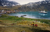 Cruise ship moored in King Edward Cove while tourists disembark at Grytviken, South Georgia, December 1998