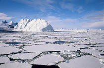 Lemaire Channel with broken pack ice, Antarctica, December 1998