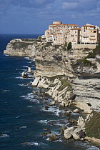Bonifacio, the most southerly town in Corsica and port for the Lavezzi Islands, which lie approximately 10km SE, limestone coastline, Corsica, France, September 2008