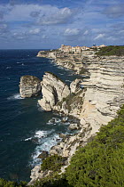 Bonifacio, most southerly town in Corsica and port for the Lavezzi Islands, which lie approximately 10 km SE, limestone coastline, with Grain de Sable rock, Corsica, France, September 2008