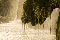 Veliki Prstavci waterfalls, Upper lakes, Plitvice Lakes NP, Croatia, October 2008