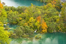 View on Lower Lakes in autumn, Plitvice Lakes NP, Croatia, October 2008