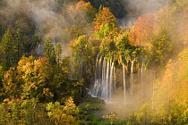Veliki Prstavci waterfalls close to Gradinsko lake at dawn, Upper Lakes, Plitvice Lakes NP, Croatia, October 2008 WWE BOOK. WWE OUTDOOR EXHIBITION PRESS IMAGE. WINNER - Wild Places category of Wildlif...