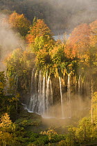 Veliki Prstavci waterfalls close to Gradinsko lake, dawn, Upper Lakes, Plitvice Lakes NP, Croatia, October 2008