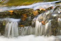 Small cascade on travertine, Galovac barrier, Upper Lakes, Plitvice Lakes NP Croatia, October 2008