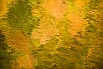 Tree colours reflected on the Galovac water surface, Upper Lakes, Plitvice Lakes NP, Croatia, October 2008