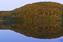 Woods reflected in the still waters of Proscansko lake, evening, Upper Lakes, Plitvice Lakes NP, Croatia, October 2008