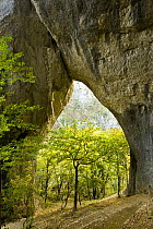 Karstic rock arch in the Korana canjon, Plitvice Lakes National Park, Croatia, October 2008