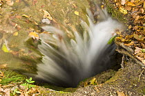 Water disappearing underground, Ciginovac lake, Upper Lakes, Plitvice Lakes National Park, Croatia, October 2008