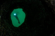 Diver (Klas Malmberg) looking into giant underwater cauldron, Saltstraumen, Bod, Norway, October 2008