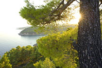 Alonissos island coastal scenic, Greece, September 2008