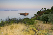 View towards the sea from Alonissos island, Greece, September 2008