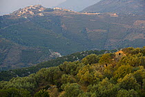 Old Alonissos hill-top village, Alonissos island, Greece, September 2008