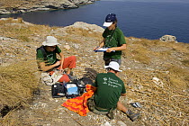 Researchers from the Hellenic Ornithological Society collecting data from a colony of Eleonora's falcons (Falco eleonorae) Andros, Greece, September 2008