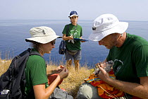 Researchers from the Hellenic Ornithological Society collecting data from a young Eleonora's falcon (Falco eleonorae) Andros, Greece, September 2008