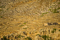 Ruins of a building in a rock strewn landscape, Antikythera island, Greece, September 2008