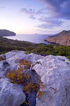 Coast, Antikythera island, Greece, September 2008