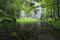 Krinice River flowing past rock face in wood, Dlouhy Dul, Ceske Svycarsko / Bohemian Switzerland National Park, Czech Republic, September 2008