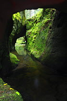 Krinice River flowing through tunnel formed by rocks, Kyov, Ceske Svycarsko / Bohemian Switzerland National Park, Czech Republic, September 2008