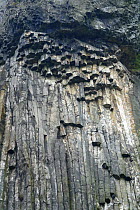 Zlaty Urch, Basalt quarry, Gold Mountain, Liska, Ceske Svycarsko / Bohemian Switzerland National Park, Czech Republic, September 2008