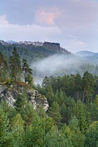 View from Rudolfuv Kamen hillside over forest, Jetrichovice, Ceske Svycarsko / Bohemian Switzerland National Park, Czech Republic, September 2008