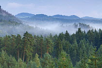 View from Rudolfuv Kamen hillside with mist over forest, Jetrichovice, Ceske Svycarsko / Bohemian Switzerland National Park, Czech Republic, September 2008