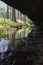 Mezni Potok / Stream flowing underneath a rock, Rynartice, Ceske Svycarsko / Bohemian Switzerland National Park, Czech Republic, November 2008