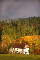Large house at forest edge, Rynartice, Ceske Svycarsko / Bohemian Switzerland National Park, Czech Republic, November 2008