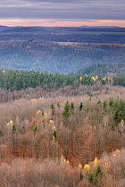 Forest viewed from Stribrne Steny (459m) at dawn, Hrensko, Ceske Svycarsko / Bohemian Switzerland National Park, Czech Republic, November 2008