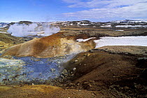 Fumaroles in the Krafla volcano area, Northern Iceland 2005
