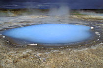 Hot pool of Hveravellir geothermal site, Kjolur desert, central Iceland 2005
