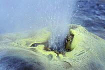 Hot water spouting from Hveravellir geothermal site, Kjolur desert, central Iceland 2005