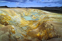 Bubbling hot mud springs, geothermal area of Krafla, North Iceland 2005