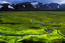 River meandering though the moss, Joküldalir valley, central Iceland 2005