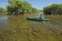 Russell Laman paddling through mangroves on the Nine Mile Pond Canoe Trail. Everglades National Park, Florida, USA. Model released. April 2008