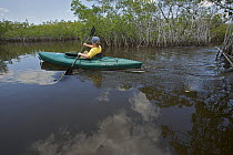 Russell Laman paddling kayak through the mangroves on the Hell's Bay Canoe Trail, Everglades National Park, Florida, USA. Model released, April 2008