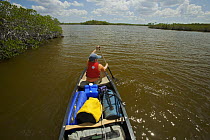 Russell Laman paddling a canoe through mangroves of the Hell's Bay Canoe Trail, Everglades National Park, Florida, USA, Model released, April 2008