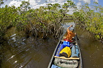 Russell Laman paddling a canoe through mangrove channels of the Hell's Bay Canoe Trail, Everglades National Park, Florida, USA. Model released, April 2008